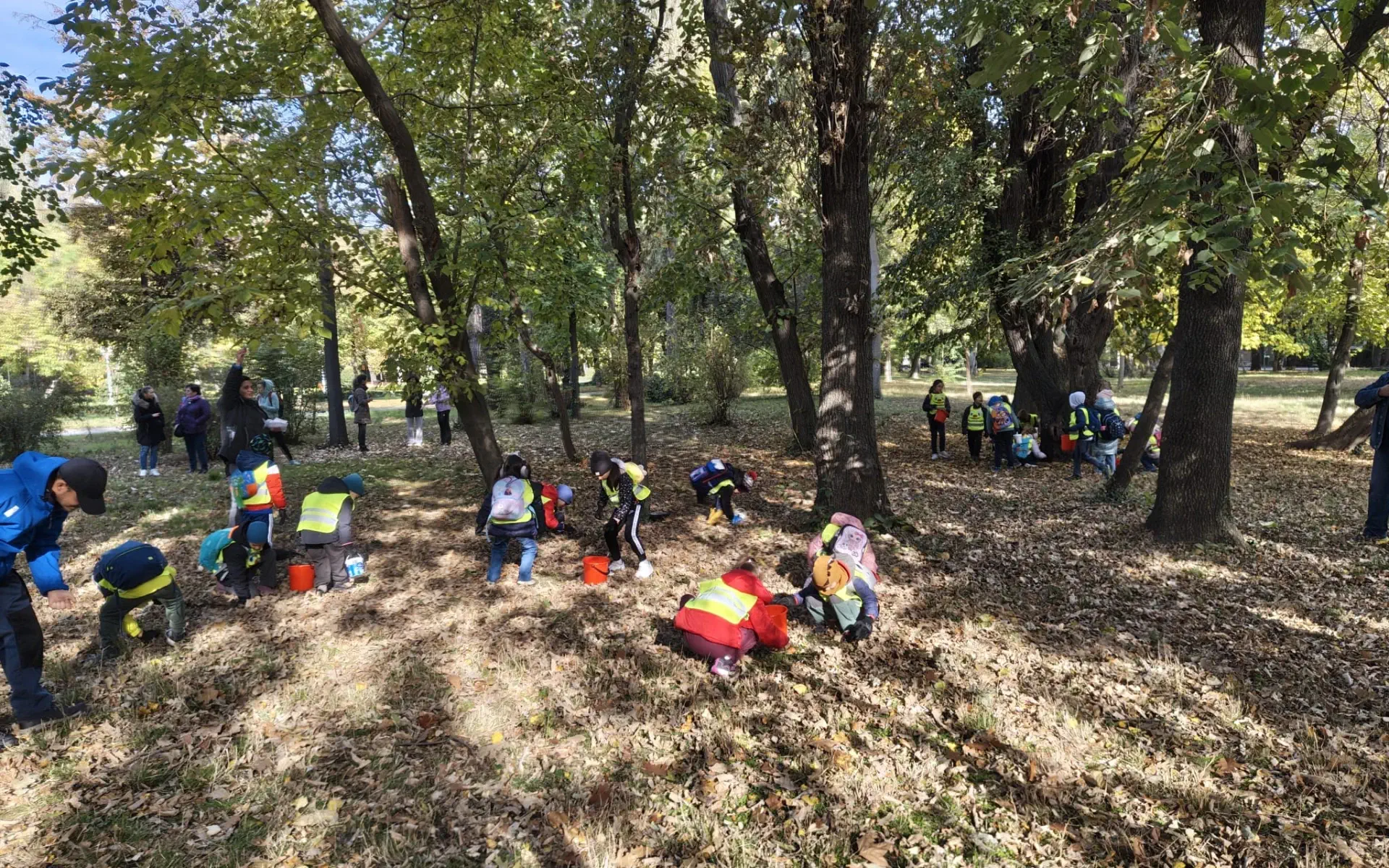 Educație pentru natură: peste 120 de elevi au cules ghinde și castane în parcurile Bucureștiului