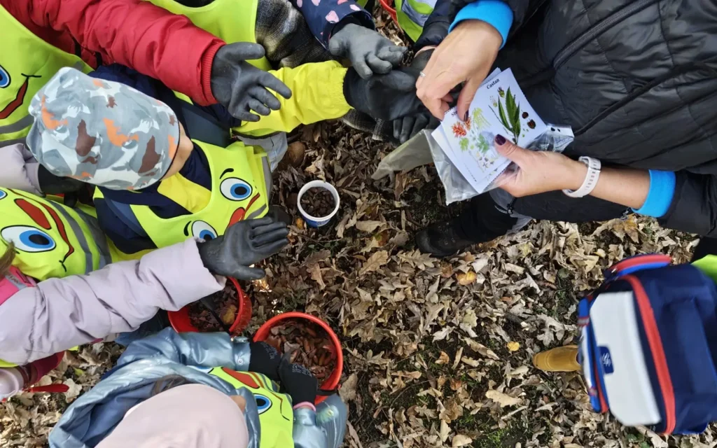 Educatie de Mediu Padurea Copiilor