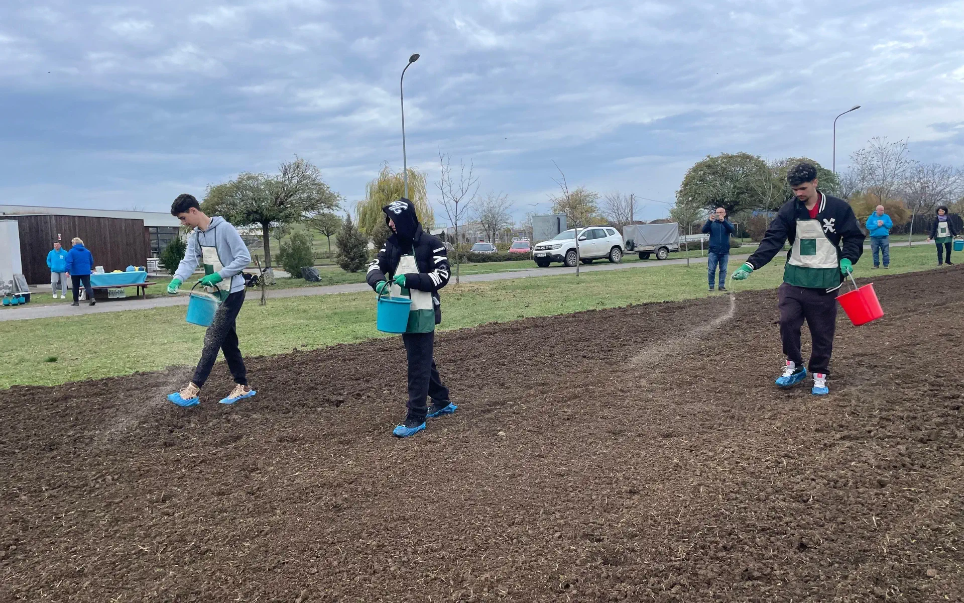 Creștem biodiversitatea celui mai mare parc din Ploiești prin înființarea de pajiști urbane