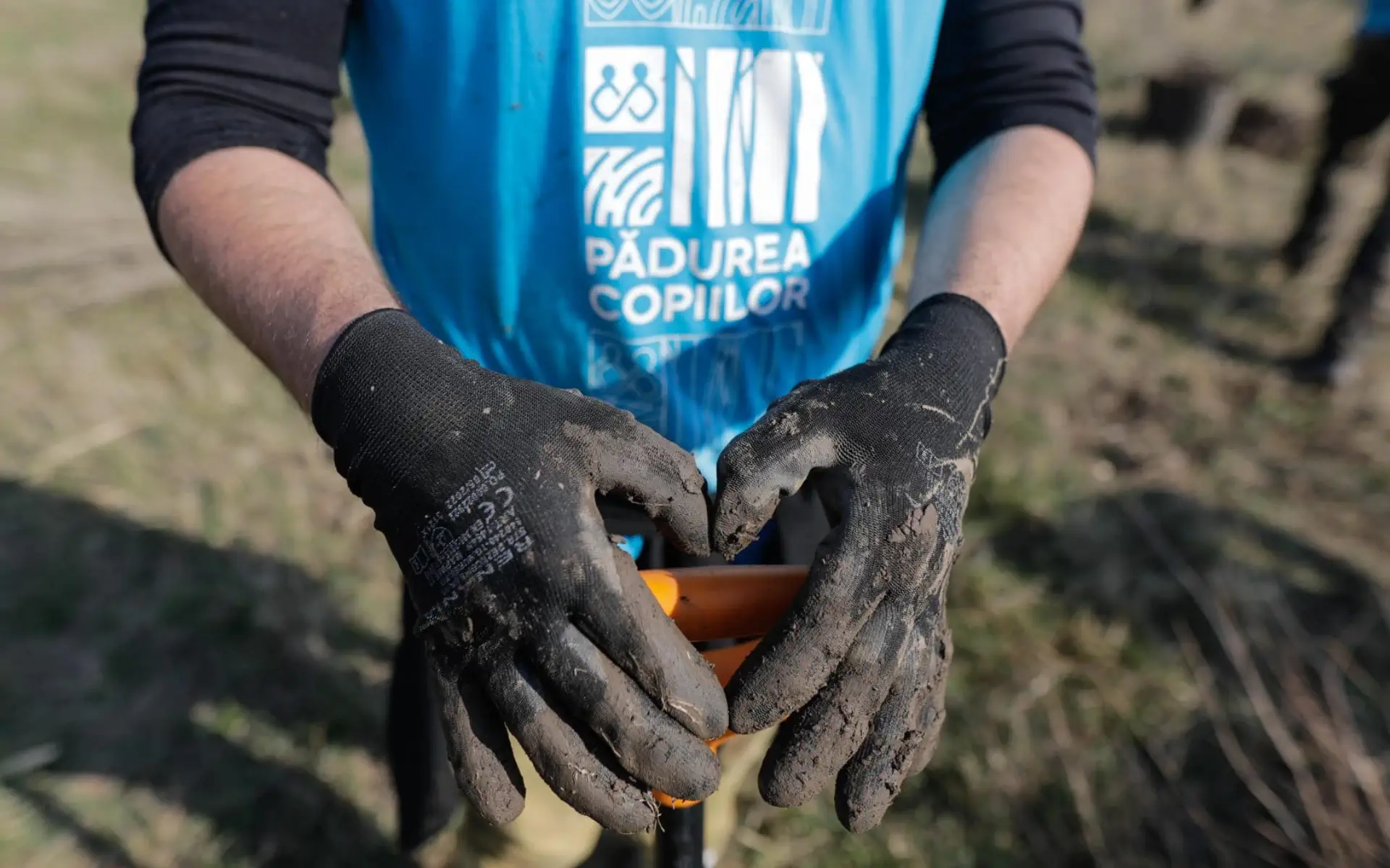 Peste 1500 de voluntari implicați în acțiunile Pădurea Copiilor din această toamnă